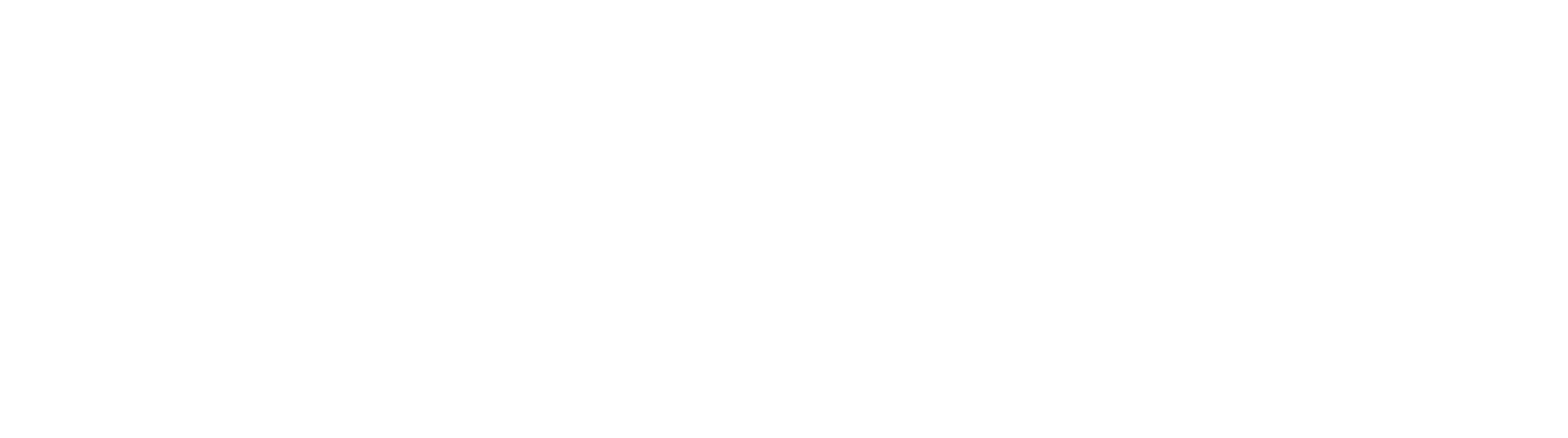 Company name logo
